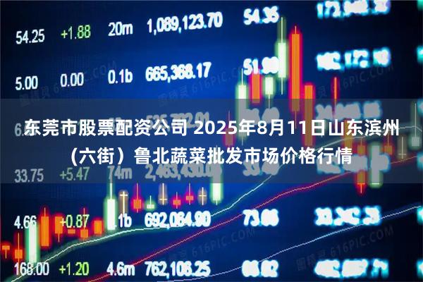 东莞市股票配资公司 2025年8月11日山东滨州(六街)鲁北蔬菜批发市场价格行情