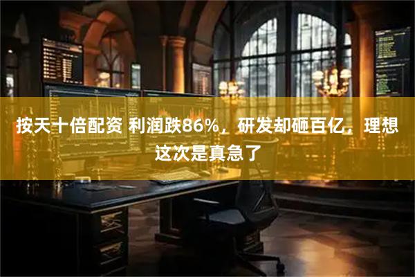 按天十倍配资 利润跌86%，研发却砸百亿，理想这次是真急了